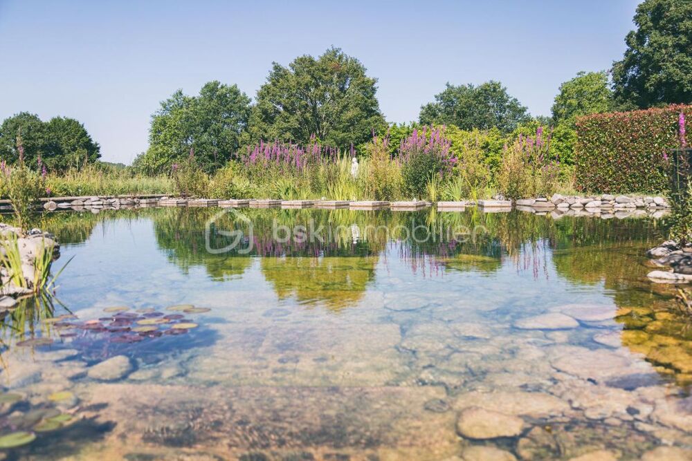 Vente Maison Maison contemporaine autonome avec piscine naturelle au cœur de la nature Mauzac et grand castang