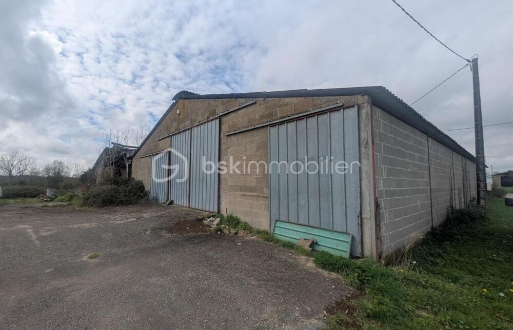 Hangar agricole 490 m² bétonné avec parking  Le Busseau (79)
