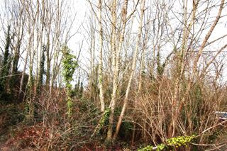  Terrain � vendre 4273 m�