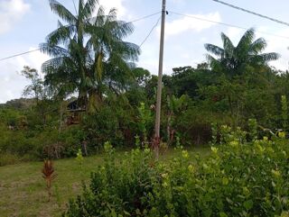  Terrain  vendre 10000 m