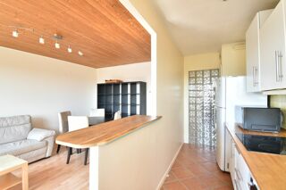 Vente Appartement Appartement à vendre 2 pièces ANTONY (92), lumineux très proche RER et tramway Antony