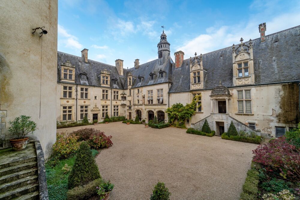 Vente Propriété/Château Magnifique château renaissance 43 pièces, nombreuses et remarquables dépendances, 24 hectares de bois et parc d'agrément Saint florent sur cher