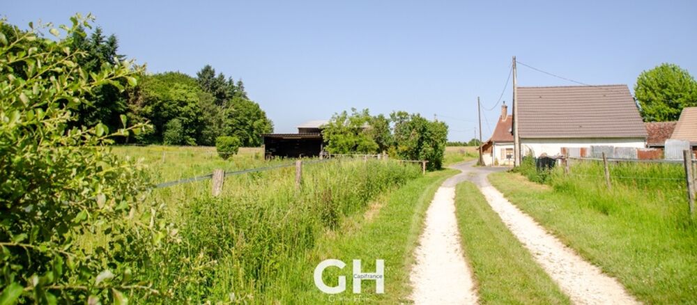 Propriété de 6 hectares à vendre GEHEE (36)