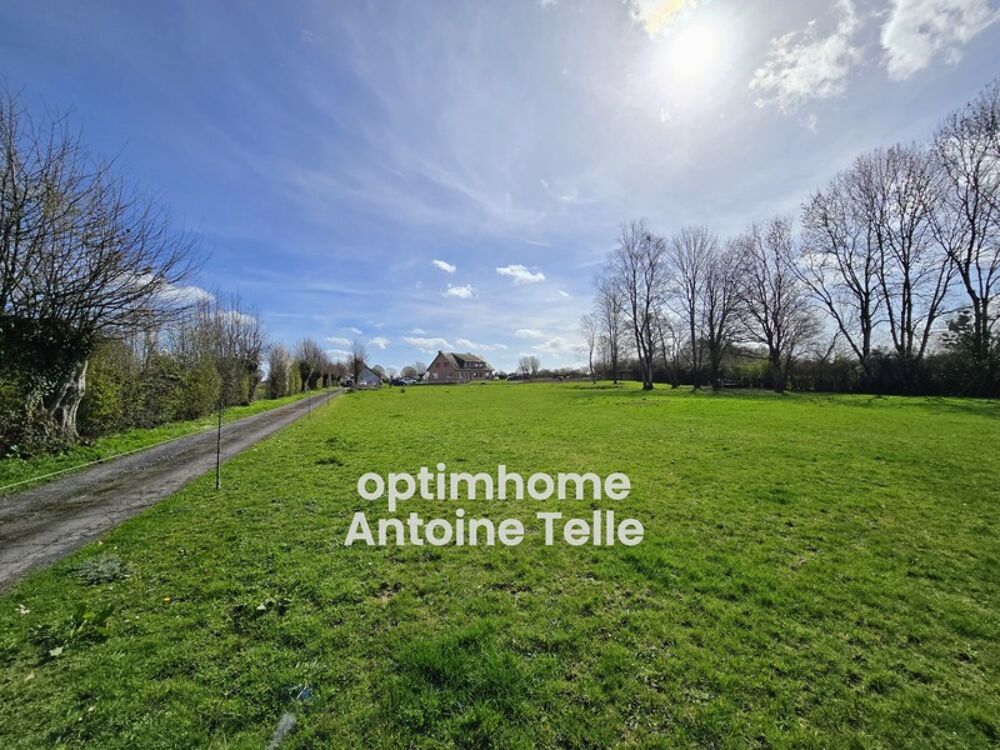 59360 ORS  MAISON INDIVIDUELLE SEMI PLAIN-PIED SUR ENV. 1Ha - ECRIN DE VERDURE ENTRE AVESNOIS THIERACHE CAMBRESIS