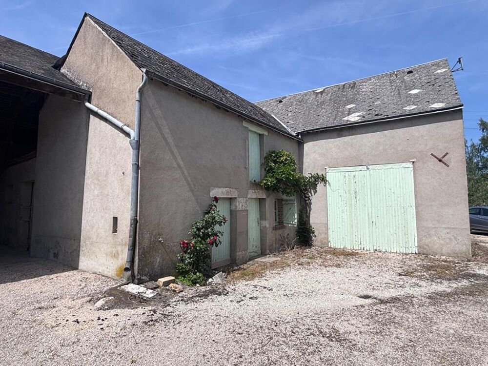 Vente Maison Ensemble immobilier Vineuil Maison + Granges Vineuil
