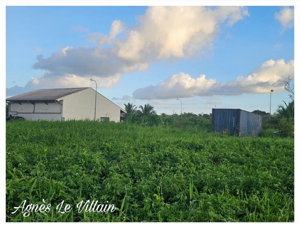 Vente Terrain Terrain Commercial dans la ZAC de Nolivier Sainte rose