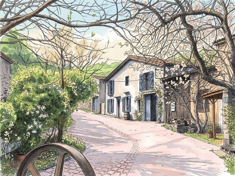 La Maison des Vendangeurs  Ancienne bâtisse viticole avec 4 suites, piscine et dépendances