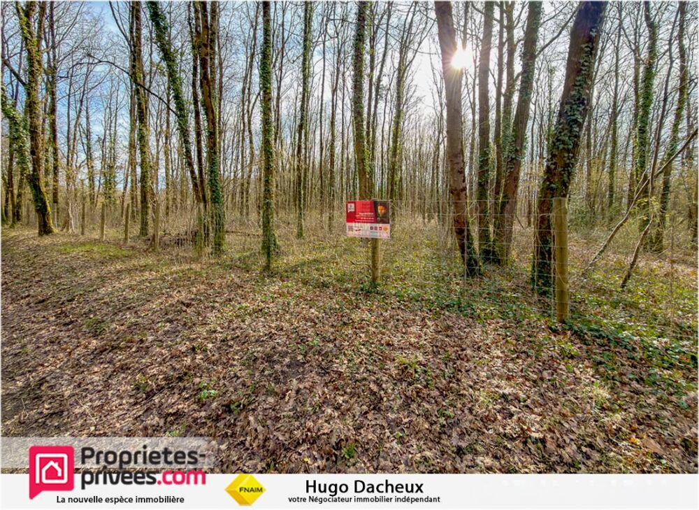 Vente Terrain Terrain constructible - 6783 m² - Boisé - Thenioux