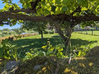  Maison � vendre 8 pi�ces 300 m�