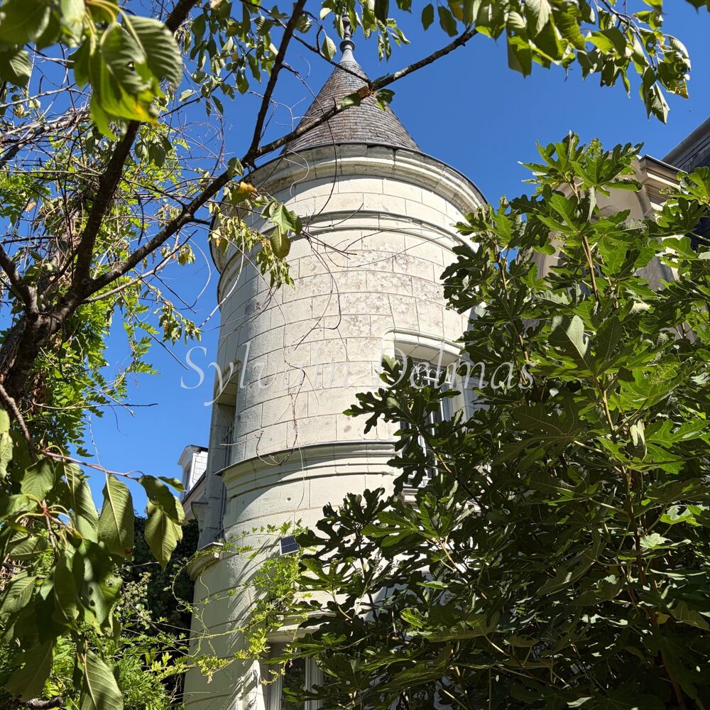 à vendre  Propriété/château Saint-Avertin (37550)