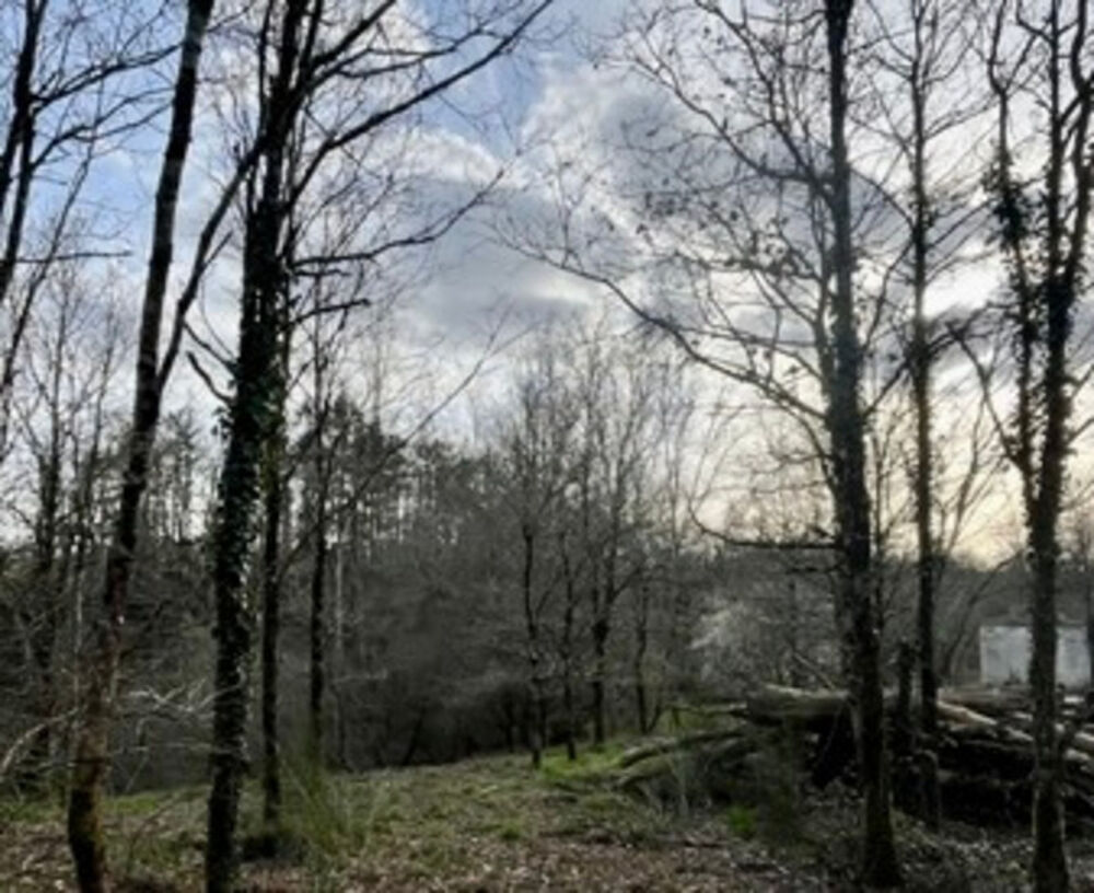 Vente Maison LA ROCHE SUR YON (85) RARISSIME LA COURTAISIERE PROPRIETE AVEC MAISON ET TERRAIN A BATIR SUR 4 HECTARES La roche sur yon