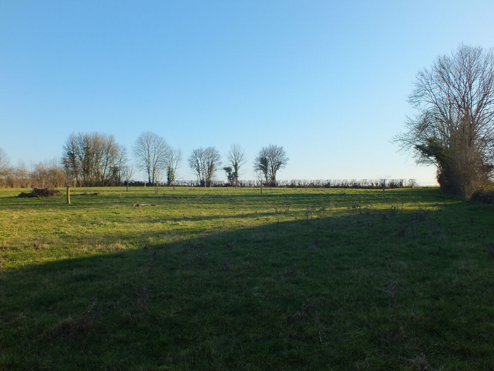 Vente Terrain Dpt Côte d'Or (21), à vendre MUSIGNY terrain - Terrain de 5 990,00 m² Musigny