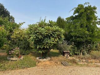  Maison à vendre 5 pièces 100 m²