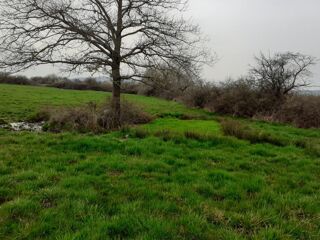  Terrain à vendre 23055 m²