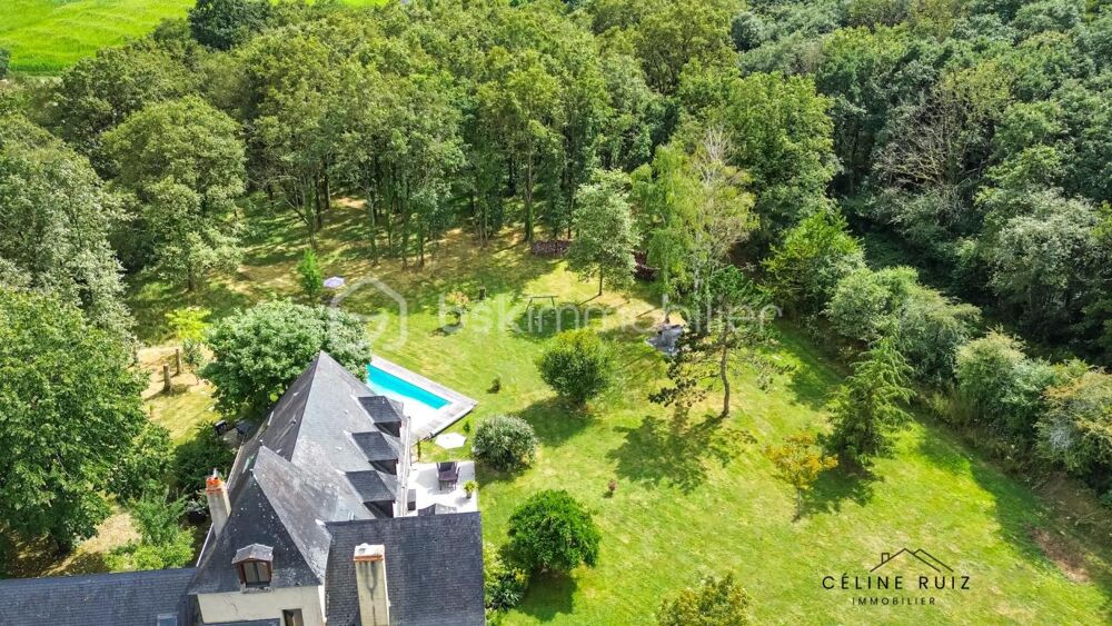 � vendre  Propri�t�/ch�teau Angers (49100)