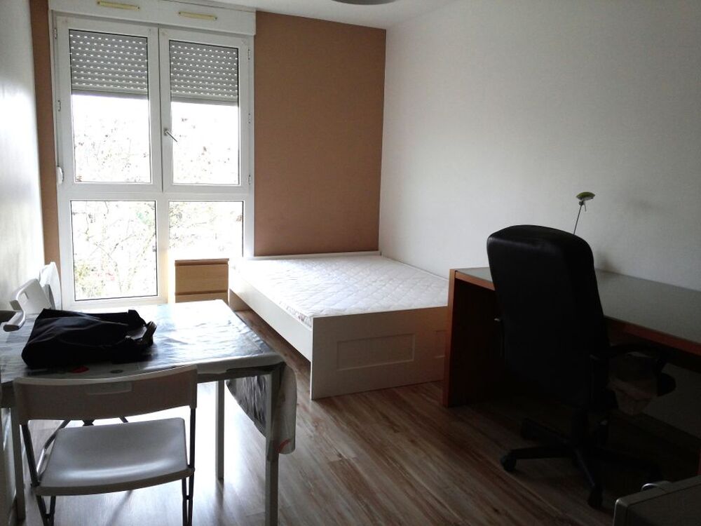 Location Appartement Studio de 21m2 à louer sur Pau Pau