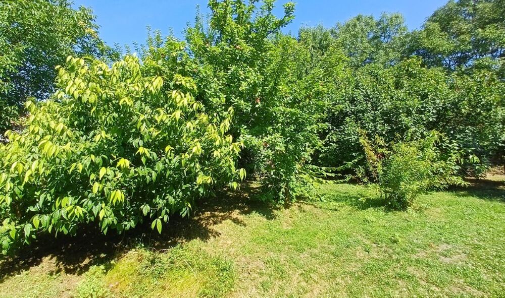 Maison viager à vendre occupé 5 pièces FOUQUEBRUNE (16)
