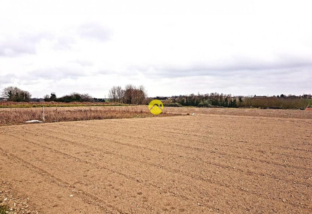 Vente Terrain TERRAIN A BATIR-MOUTERRE SILLY Loudun