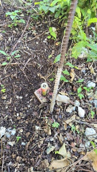  Terrain � vendre 3000 m�