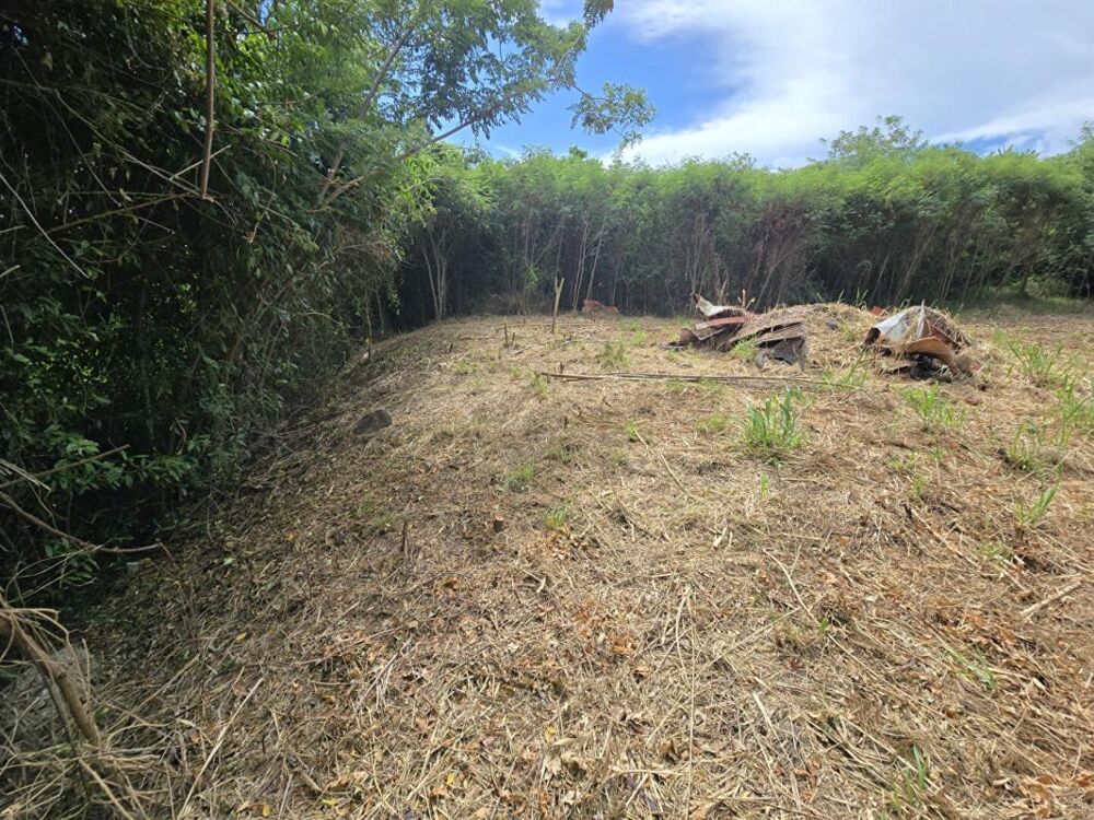 Vente Terrain Terrain sur la route des plages Le vauclin