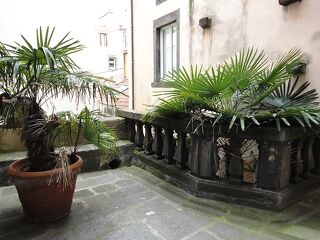  Appartement à louer 2 pièces 38 m²