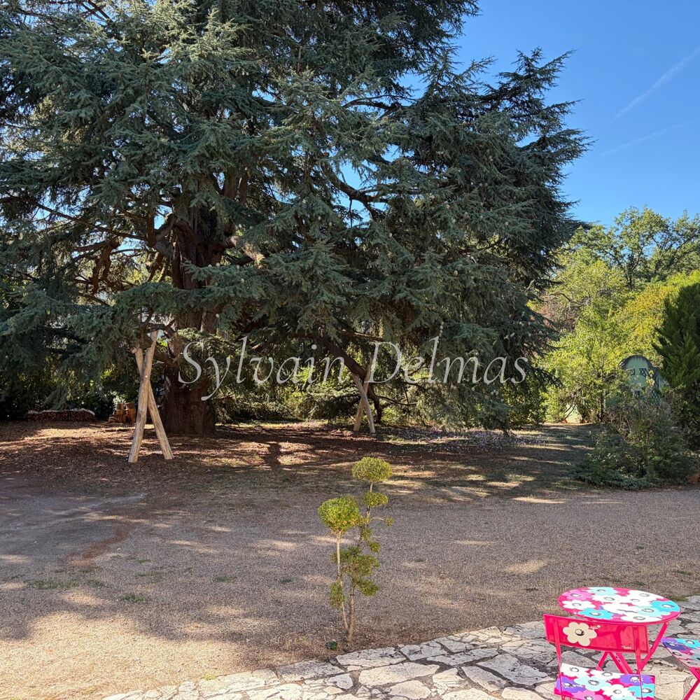 à vendre  Propriété/château Saint-Avertin (37550)