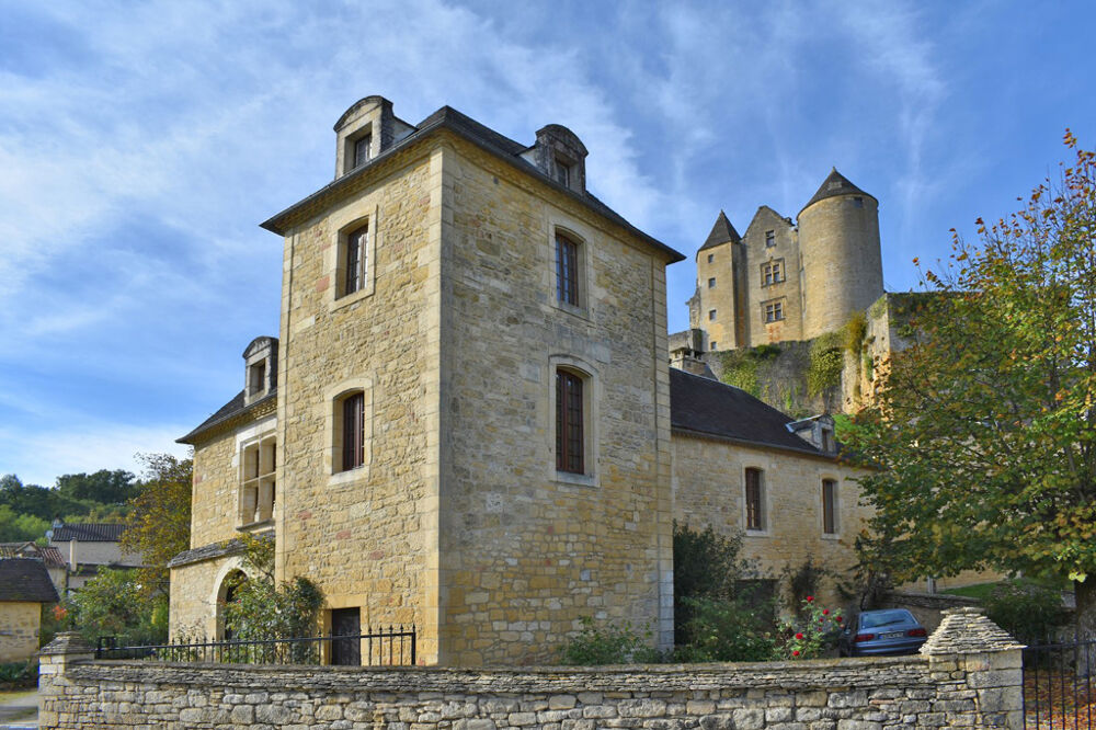 Vente Propriété/Château Demeure de prestige Salignac Eyvignes 9 pièce(s) 275 m2 Salignac eyvignes