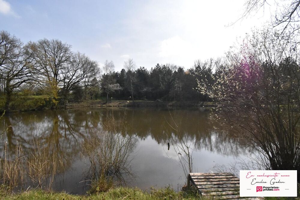 Vente Terrain Terrain de loisirs La Plaine La plaine