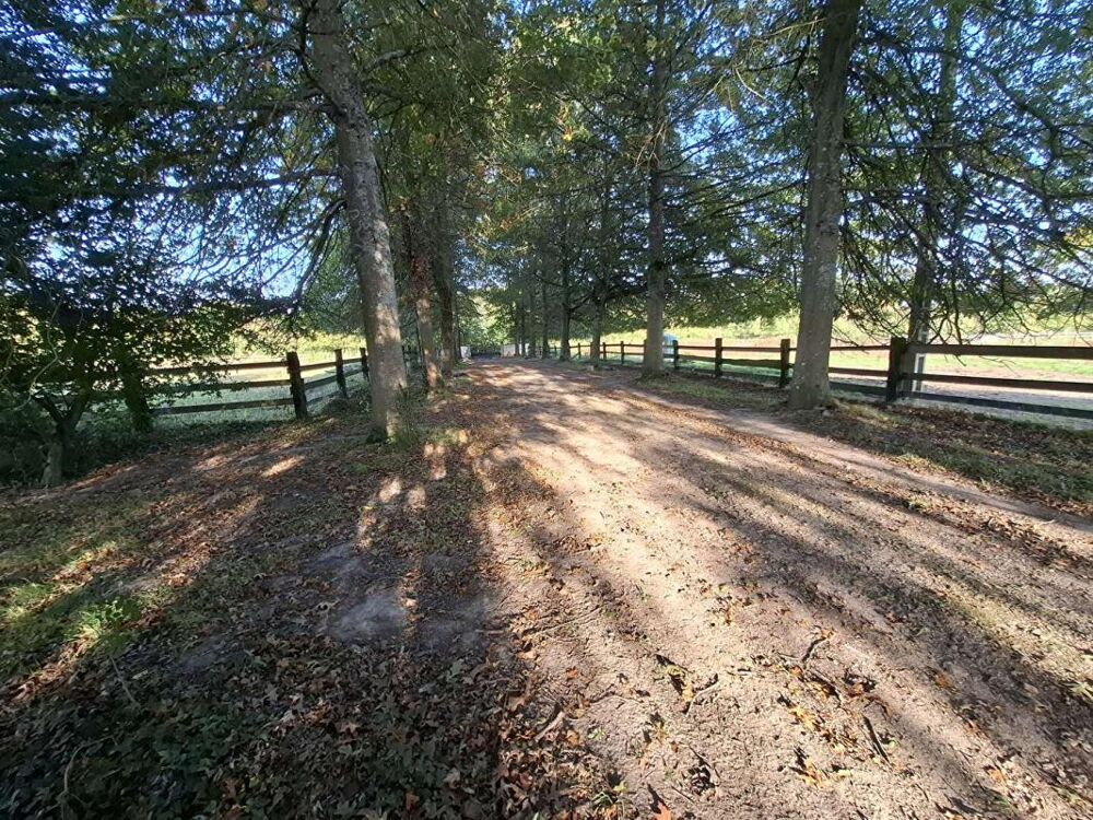 Vente Maison Propriété équestre Proche Mortagne Au Perche 195 m2  avec 30 hectares de terrain Mortagne au perche