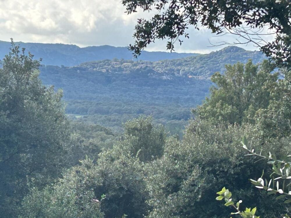 Porto Vecchio - Corse du sud - Bergerie 4 pièce(s) 80 m²