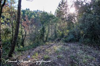  Terrain à vendre 55050 m²