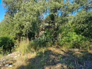  Terrain à vendre 170000 m²