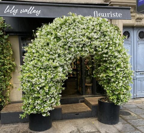 Commerces/Negoce 132000 75005 Paris