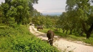  Terrain � vendre 56090 m�