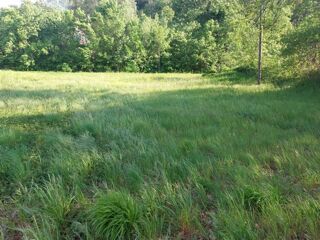  Terrain � vendre 2354 m�