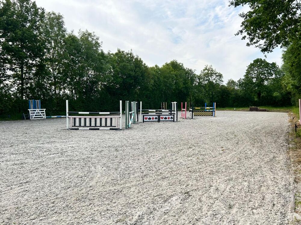 Demeure de prestige Saint Hilaire Des Loges 15 pièce(s) 495 m2