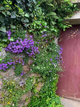  Maison � vendre 4 pi�ces 70 m�