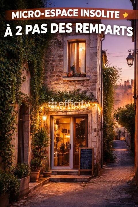 Locaux/Biens immobiliers 45000 84000 Avignon