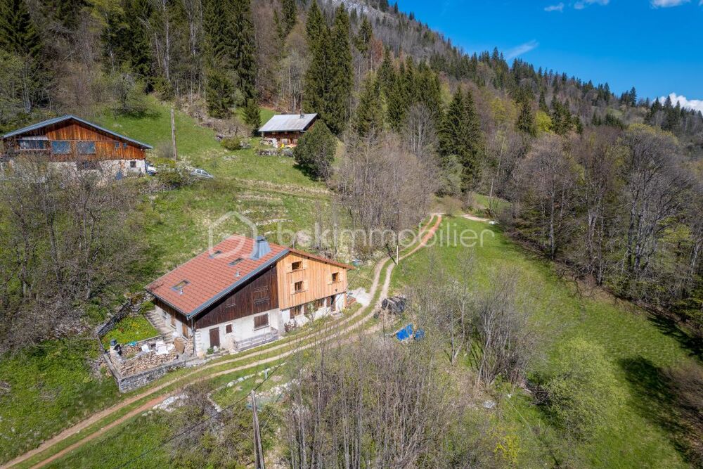 BRIZON - CHALET MITOYEN - ENTIÈREMENT RÉNOVÉ - PROCHE DE LA VALLÉE (BONNEVILLE, SCIONZIER) - ENVIRONNEMENT NATUREL EXCEPTIONNEL