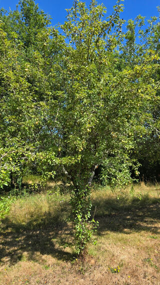  Terrain � vendre 1068 m�