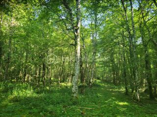  Terrain � vendre 107573 m�