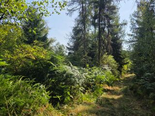  Terrain à vendre 16790 m²