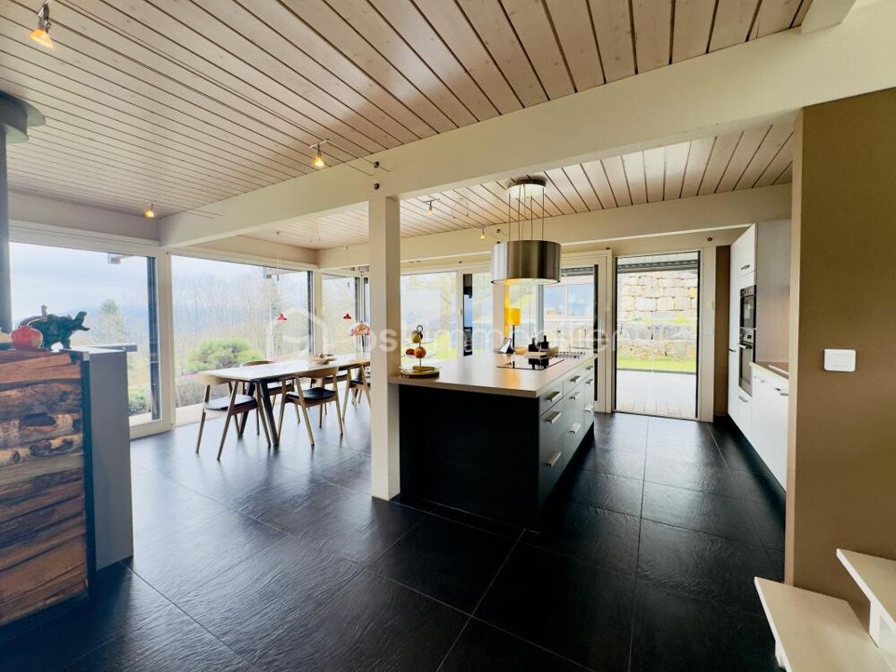 � vendre  Propri�t�/ch�teau Etaux (74800)