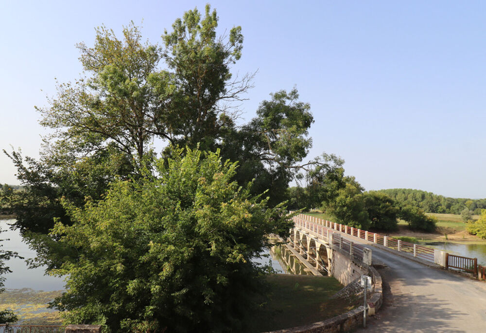 Vente Propriété/Château Moulin au cœur de la Bresse avec accès privé à la rivière - 585 m² sur 8553 m² de terrain La truchere