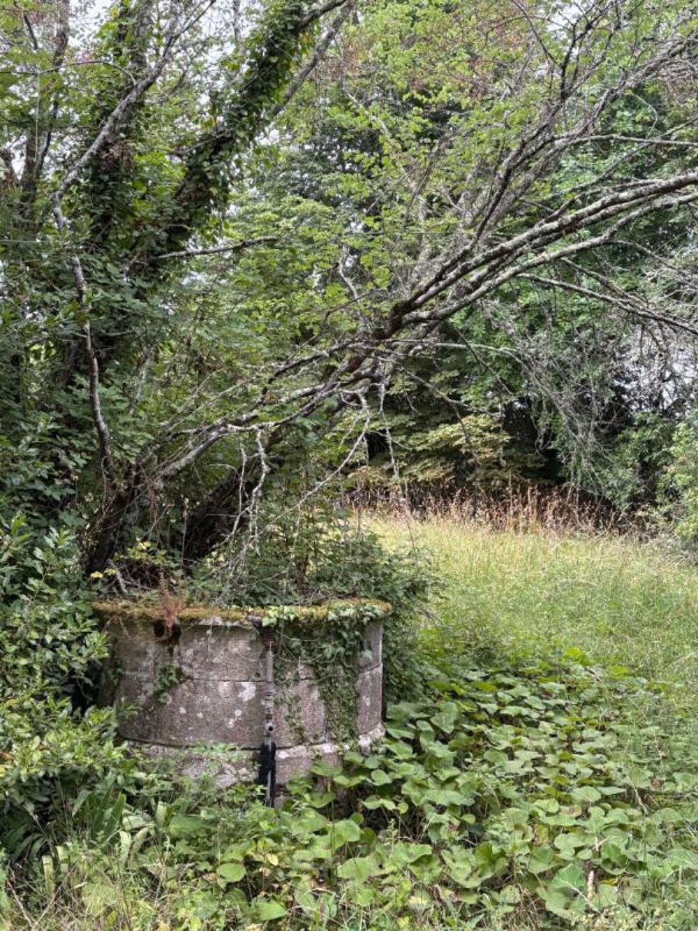 Vente Maison Propriété d'Exception : Le charme néo-classique proche de Sauveterre de Guyenne Soussac