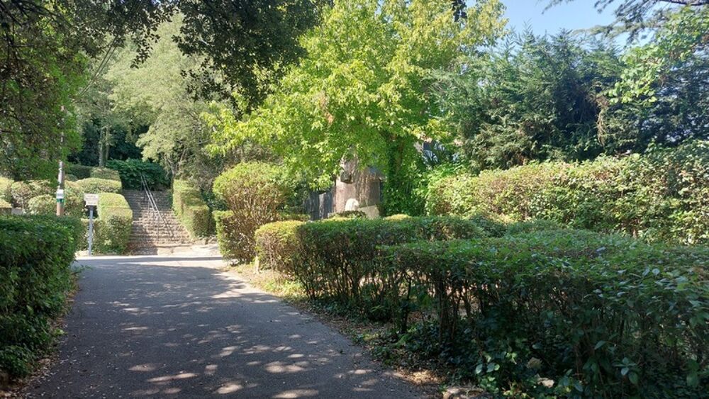 Maison avec studio indépendant et piscine  Cadre exceptionnel  Villeneuve-lès-Avignon