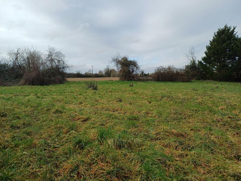 Vente Terrain La Rochénard - Terrain à bâtir de 2 200m² + 2 300m² La rochenard