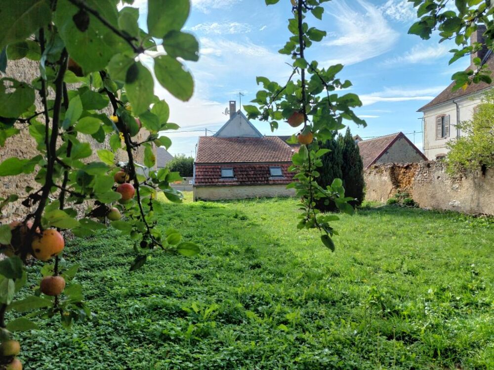 Vente Maison Maison à vendre 5 pièces LES SIEGES (89) Les sieges