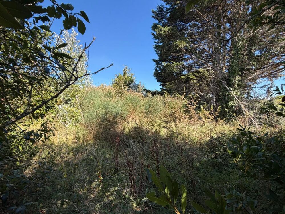 Vente Terrain BARBATRE (85) - ILE DE NOIRMOUTIER - RARISSIME TERRAIN A BATIR 637 M² AVEC PERMIS DE CONSTRUIRE ACCORDE Barbatre