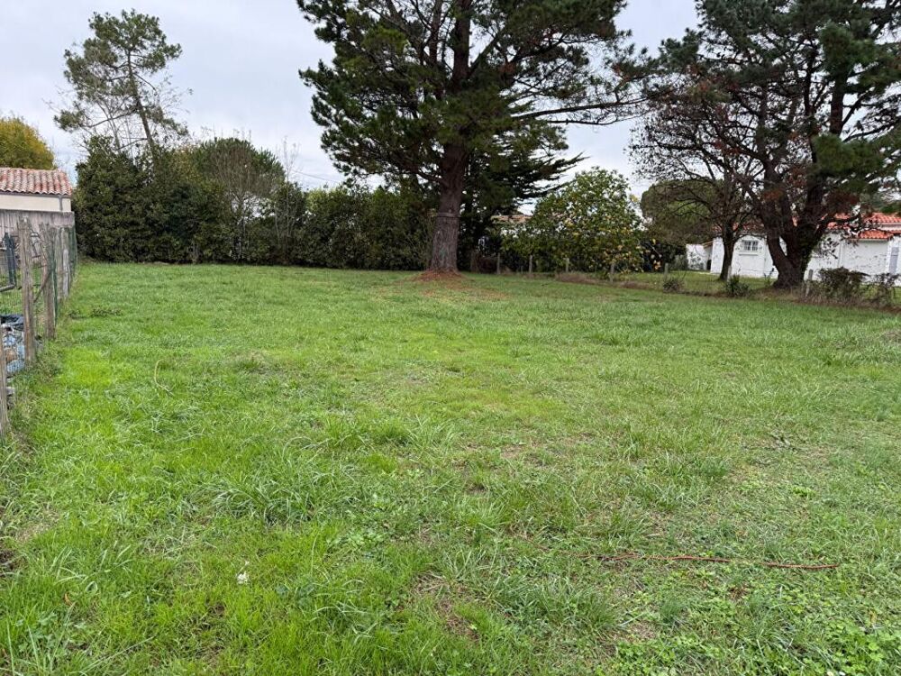 Vente Terrain Dept 17 - Saint Georges d'Oléron - Terrain Constructible 784 m² Saint georges d oleron